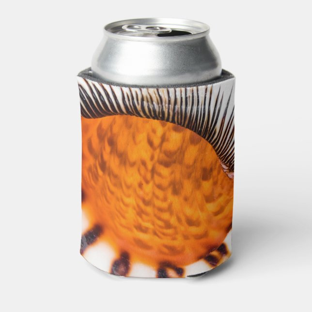 Porta-lata Enxertia em rede (Can Back)