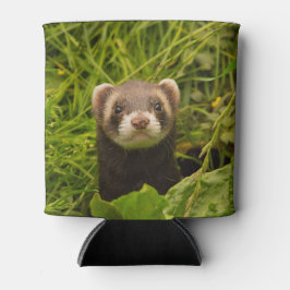 Porta-lata Ferret castanho-bonito na foto de grama