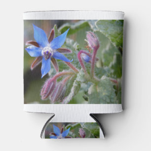 Porta-lata Flor Borage Star