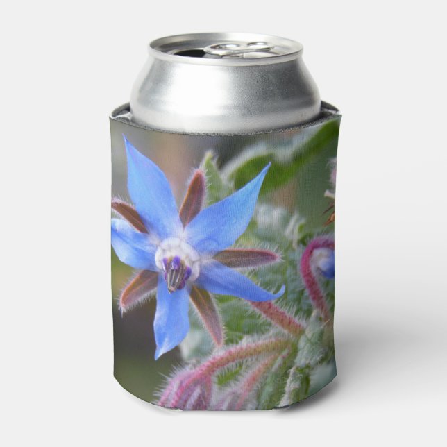 Porta-lata Flor Borage Star (Can Front)