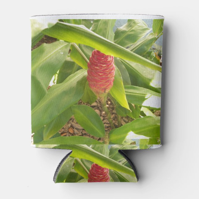 Porta-lata Flor de gengibre Shampoo (Frente)