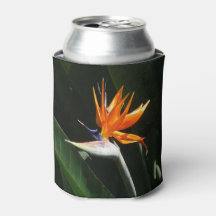 Flor Tropical Laranja de Ave do Paraíso