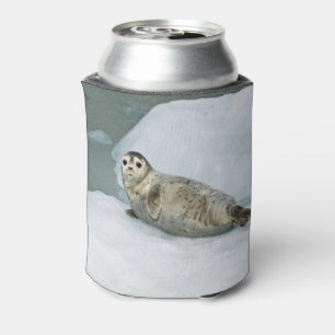 Porta-lata Foca-branca do porto na neve