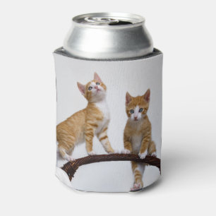 Porta-lata Foto engraçada do Gym dos gatinhos bonitos dos