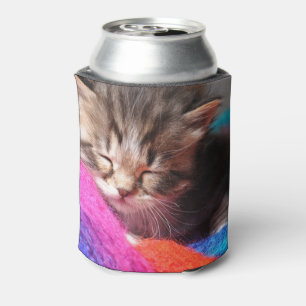 Porta-lata Fotografia de um gatinho recém-nascido sonolento e