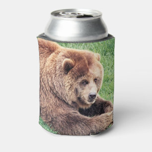 Porta-lata Fotografia de Urso Marrom Fofo