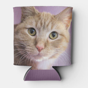 Porta-lata Gato