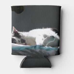 Porta-lata Gato no Sunspot Não Incomodar