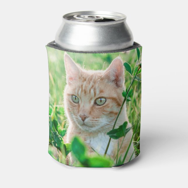 Porta-lata Ginger Cat com olhos verdes na grama (Can Back)