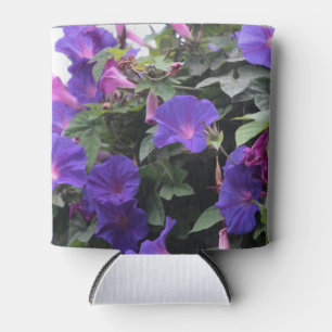 Porta-lata Glórias de Primavera da manhã em azul