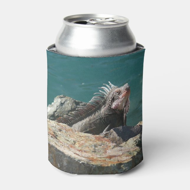 Porta-lata Iguana em St. Thomas (Can Front)