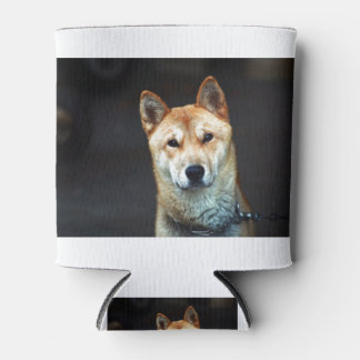 Porta-lata Jindo Dog Coreano