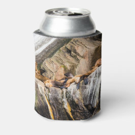 Porta-lata Leões Do Mar Deitados Nas Rochas