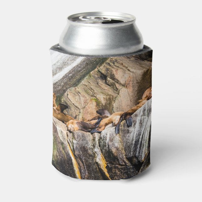 Porta-lata Leões Do Mar Deitados Nas Rochas (Can Back)