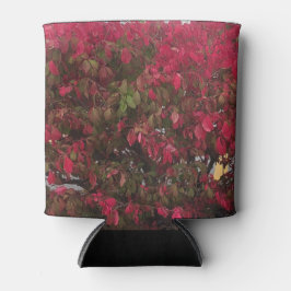 Porta-lata Mudando as estações