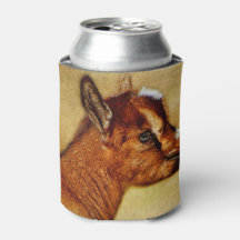 Nigeriano Dairy Goat Kid