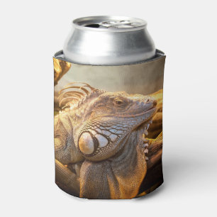 Porta-lata Nome da iguana do dragão