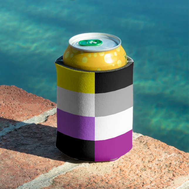 Porta-lata Nonbinary Asexual Dual Pride Flag (Piscina in situ)