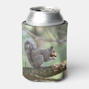 Porta-lata O esquilo na floresta pode refrigerador