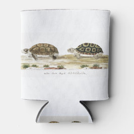 Porta-lata Padloper Tortoise