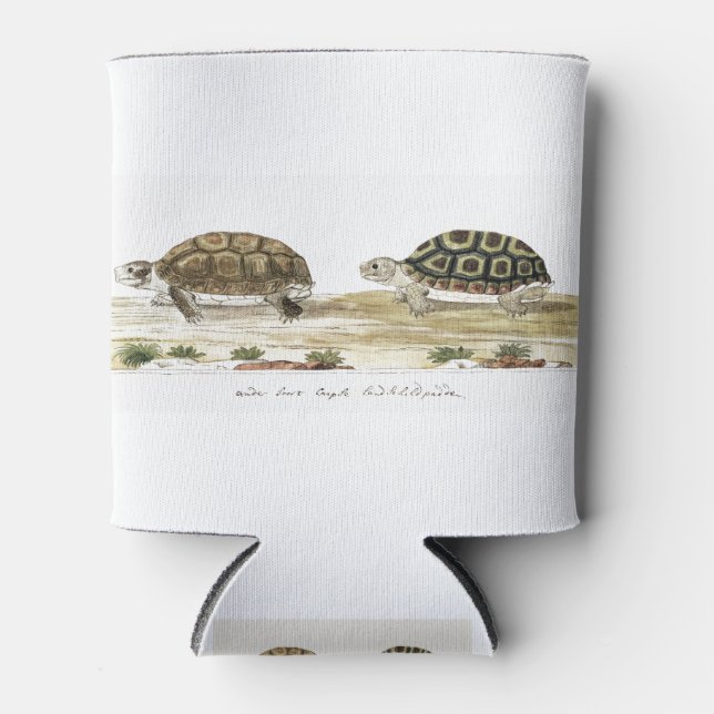 Porta-lata Padloper Tortoise (Frente)