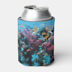 Porta-lata Peixes Tropicais de Laranja e Coral Rosa