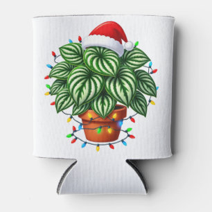 Porta-lata  Peperômia Argyreia Melancia de Natal Feriado  