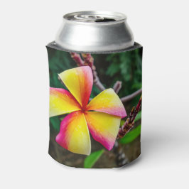 Porta-lata Plumeria rubra