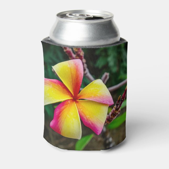 Porta-lata Plumeria rubra (Can Back)