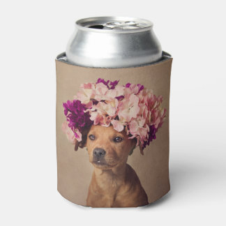 Porta-lata Projeto Shelter Pets - Lady