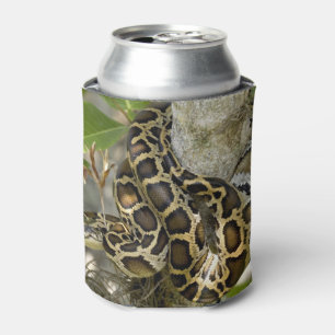 Porta-lata Python birmanês