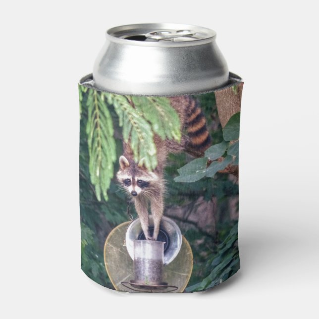 Porta-lata Raccoon Raíndo o Alimentador de Aves (Can Front)