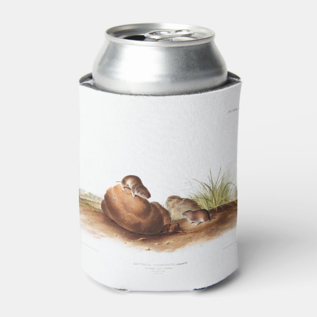 Porta-lata Rato do pinheiro Lecontes (Can Front)