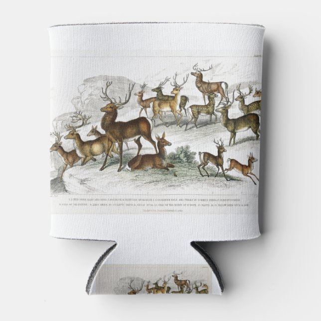 Porta-lata Red Deer Hart, Hind, Roebuck, Thibetian Musculk (Frente)