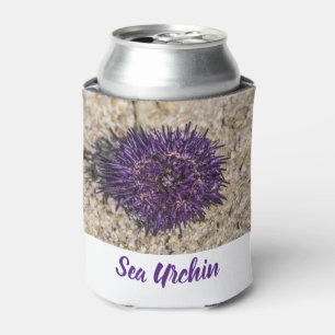Porta-lata Sea Urchin Ocean Beach Holiday Summer Souvenir
