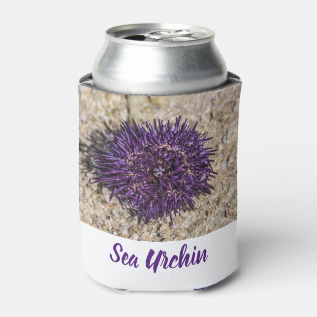 Porta-lata Sea Urchin Ocean Beach Holiday Summer Souvenir (Can Front)
