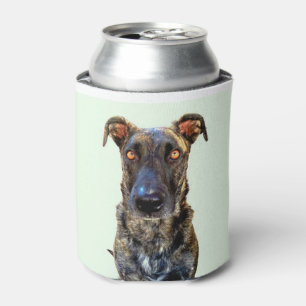 Porta-lata Somente um em cervejas do cão