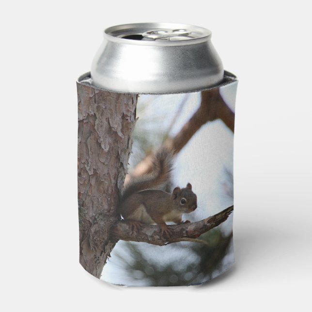 Porta-lata Squirrel in a Pine Tree (Can Front)