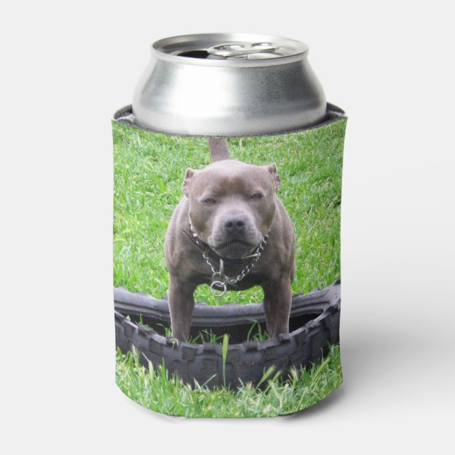 Porta-lata Staffordshire Bull Terrier, Tempo de jogo, (Can Front)