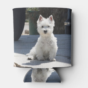 Porta-lata Terrier da Highlândia Ocidental Branca sentado em 