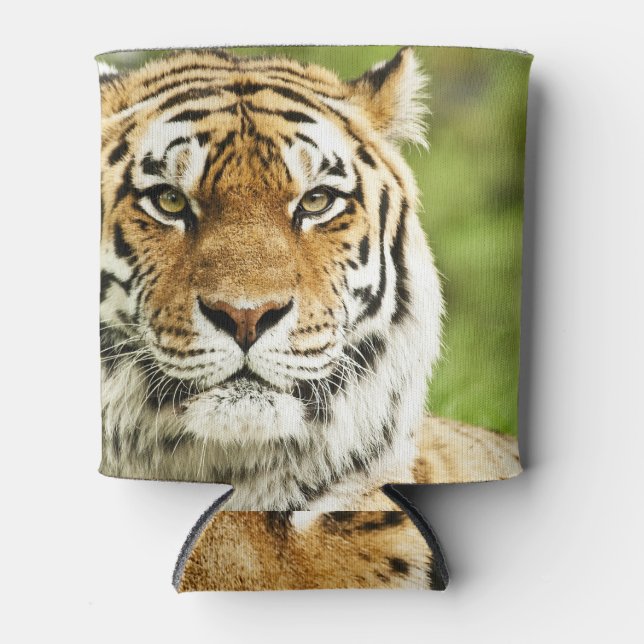 Porta-lata Tigre Siberiano Raro: Descanso Ameaçado (Frente)