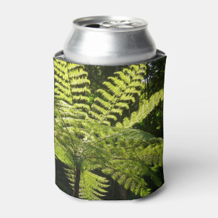 Porta-lata Tree Fern na Floresta Tropical