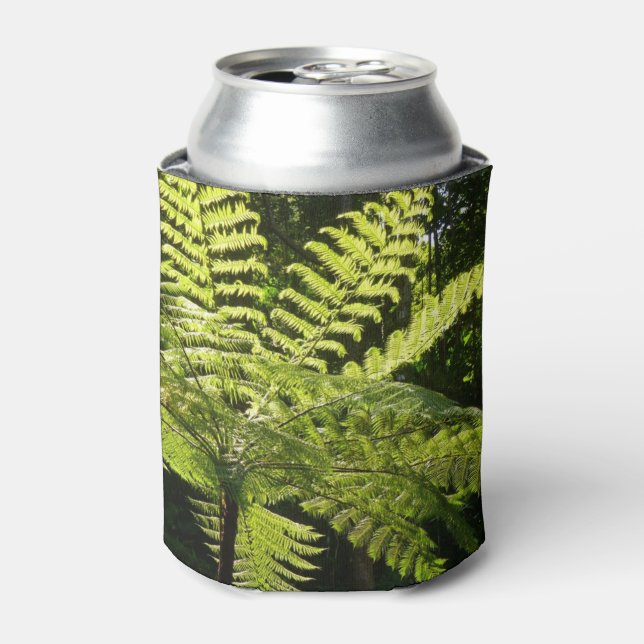 Porta-lata Tree Fern na Floresta Tropical (Can Front)