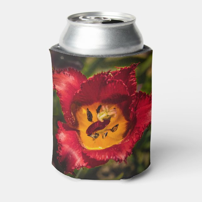 Porta-lata tulipa vermelha (Can Back)