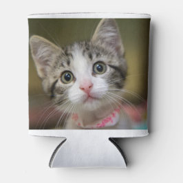 Porta-lata Um gatinho bonito com olhos verdes