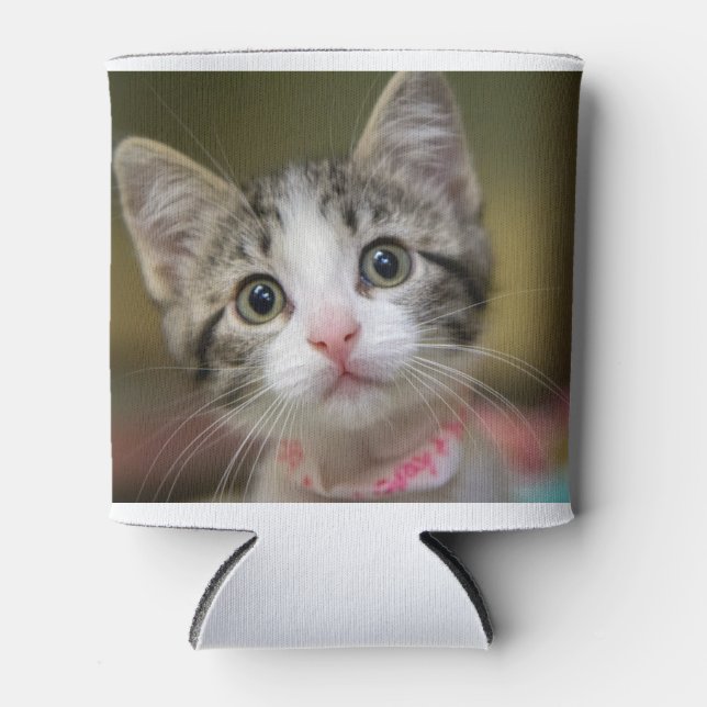 Porta-lata Um gatinho bonito com olhos verdes (Frente)