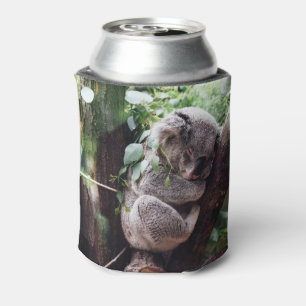 Porta-lata Urso Koala bonito relaxando em uma árvore