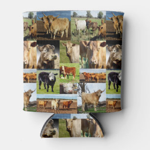 Porta-lata Vacas em uma colagem da foto,