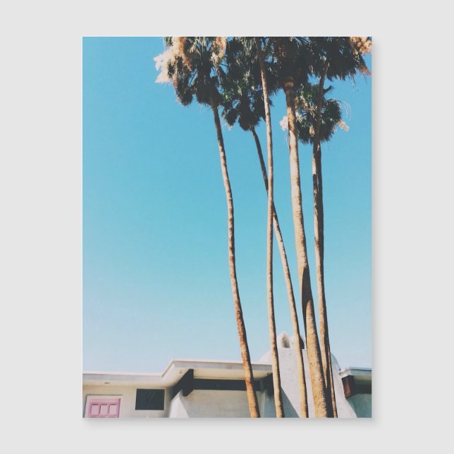 Porta Rosa Da Magneta De Primaveras De Palma (Frente)