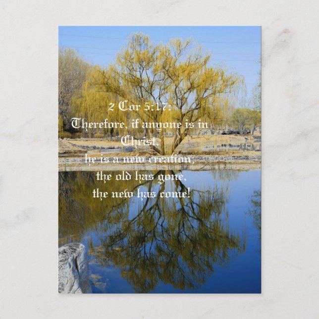 Portanto, se alguém estiver no Cristo, cartão post (Frente)